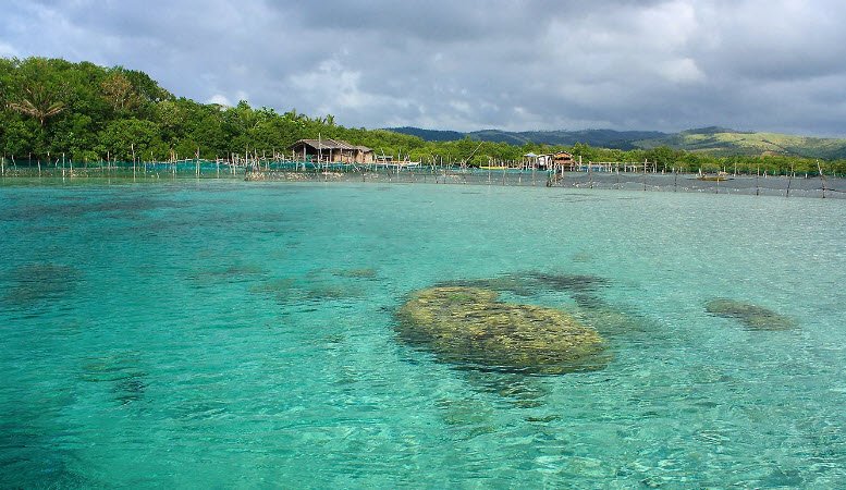 Juag Fish Sanctuary, Philippines , Philippines